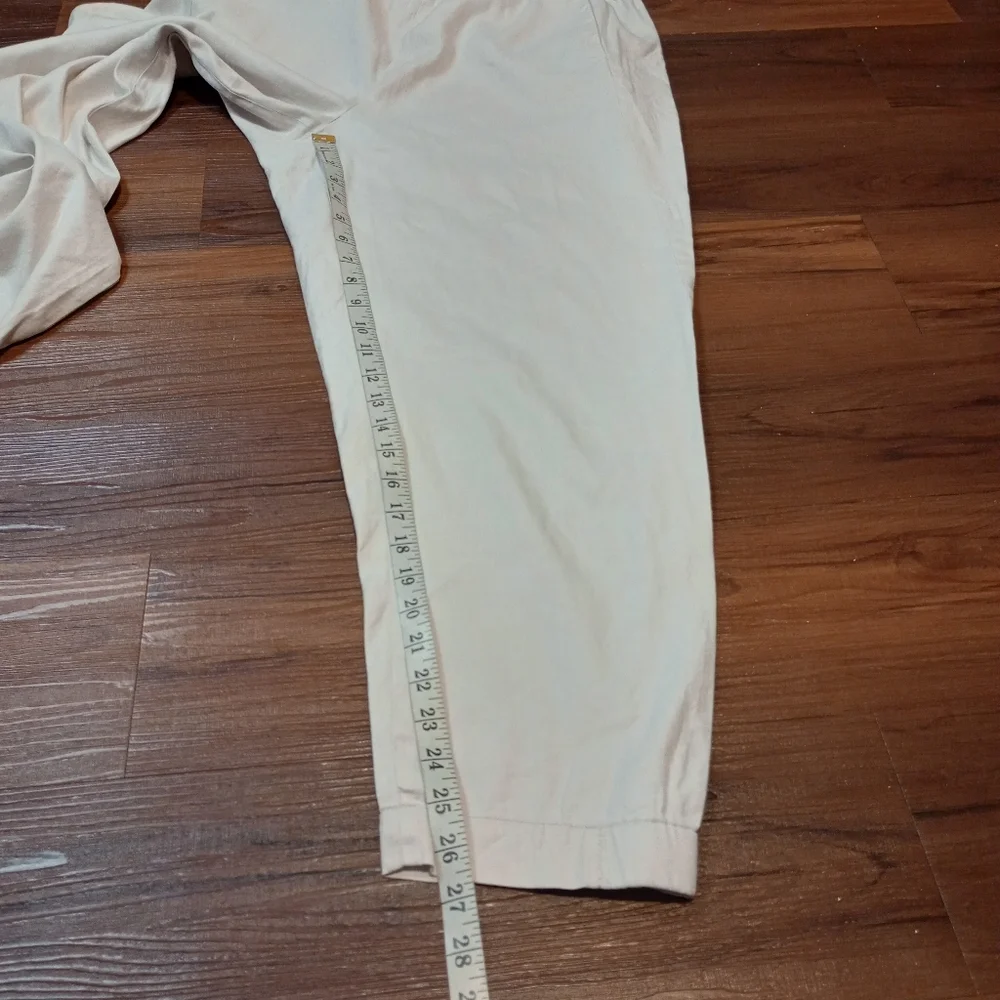 Aritzia Babaton Dexter Linen Blend Pull On Pants Plus Size Coastal Neutral